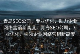青岛SEO公司，专业优化，助力企业网络营销新高度，青岛SEO公司，专业优化，引领企业网络营销新高度