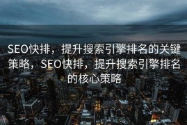 SEO快排，提升搜索引擎排名的关键策略，SEO快排，提升搜索引擎排名的核心策略
