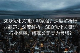 SEO优化关键词哪家强？深度解析行业翘楚，深度解析，SEO优化关键词行业翘楚，哪家公司实力最强？