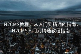N2CMS教程，从入门到精通的指南，N2CMS入门到精通教程指南