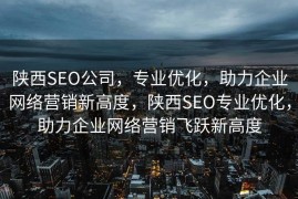 陕西SEO公司，专业优化，助力企业网络营销新高度，陕西SEO专业优化，助力企业网络营销飞跃新高度