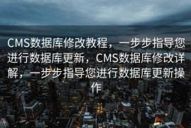 CMS数据库修改教程，一步步指导您进行数据库更新，CMS数据库修改详解，一步步指导您进行数据库更新操作