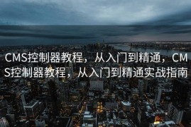 CMS控制器教程，从入门到精通，CMS控制器教程，从入门到精通实战指南