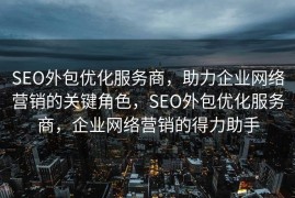 SEO外包优化服务商，助力企业网络营销的关键角色，SEO外包优化服务商，企业网络营销的得力助手