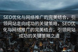SEO优化与网络推广的完美结合，引领网站走向成功的关键策略，SEO优化与网络推广的完美结合，引领网站成功的关键策略之道