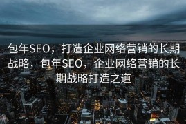 包年SEO，打造企业网络营销的长期战略，包年SEO，企业网络营销的长期战略打造之道