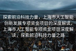 探索前沿科技力量，上海市人工智能创新发展专项资金项目的深度解读，上海市人工智能专项资金项目深度解读，探索前沿科技力量之路