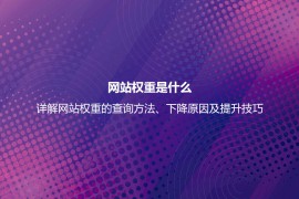 网站权重是什么？详解网站权重的查询及正确提高网站权重的方法