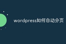 wordpress如何自动分页