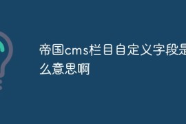 帝国cms栏目自定义字段是什么意思啊