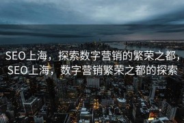 SEO上海，探索数字营销的繁荣之都，SEO上海，数字营销繁荣之都的探索