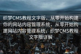 SEO快速排名系统，提升网站排名的关键利器，SEO快速排名系统，网站排名的提升利器