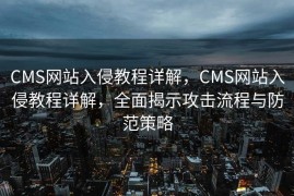 CMS网站入侵教程详解，CMS网站入侵教程详解，全面揭示攻击流程与防范策略