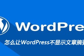 怎么让WordPress不显示文章摘要