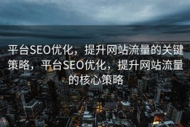 平台SEO优化，提升网站流量的关键策略，平台SEO优化，提升网站流量的核心策略