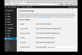 探索用于 Web 应用程序开发的 WordPress 功能：解锁 URL 重写功能