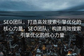 SEO团队，打造高效搜索引擎优化的核心力量，SEO团队，构建高效搜索引擎优化的核心力量