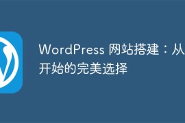 WordPress 网站搭建：从零开始的完美选择