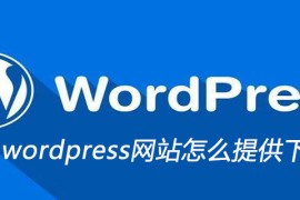 wordpress网站怎么提供下载文件