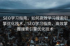 SEO学习指南，如何高效学习搜索引擎优化技术，SEO学习指南，高效掌握搜索引擎优化技术