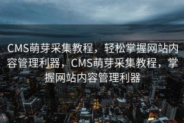 CMS萌芽采集教程，轻松掌握网站内容管理利器，CMS萌芽采集教程，掌握网站内容管理利器