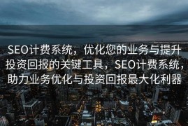 SEO计费系统，优化您的业务与提升投资回报的关键工具，SEO计费系统，助力业务优化与投资回报最大化利器