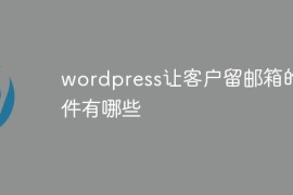 wordpress让客户留邮箱的插件有哪些