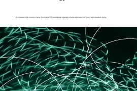 Forrester：全渠道情报将推动数据驱动业务策略-2025最新seo资料