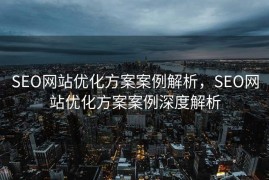 SEO网站优化方案案例解析，SEO网站优化方案案例深度解析