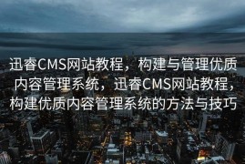 迅睿CMS网站教程，构建与管理优质内容管理系统，迅睿CMS网站教程，构建优质内容管理系统的方法与技巧