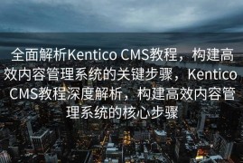 全面解析Kentico CMS教程，构建高效内容管理系统的关键步骤，Kentico CMS教程深度解析，构建高效内容管理系统的核心步骤