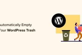 如何自动清空 WordPress 垃圾箱