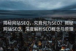揭秘网站SEO，究竟何为SEO？揭秘网站SEO，深度解析SEO概念与原理