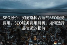 SEO报价，如何选择合适的SEO服务费用，SEO服务费用解析，如何选择最合适的报价