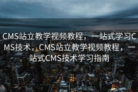 CMS站立教学视频教程，一站式学习CMS技术，CMS站立教学视频教程，一站式CMS技术学习指南