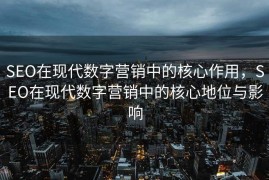 SEO在现代数字营销中的核心作用，SEO在现代数字营销中的核心地位与影响