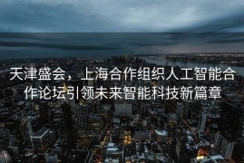 天津盛会，上海合作组织人工智能合作论坛引领未来智能科技新篇章