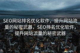 SEO网站排名优化软件，提升网站流量的秘密武器，SEO排名优化软件，提升网站流量的秘密武器