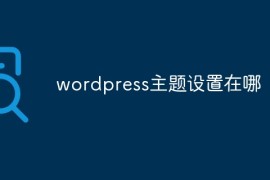 wordpress主题设置在哪