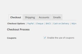 WooCommerce 优惠券管理：初学者指南