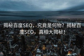 揭秘百度SEO，究竟是何物？揭秘百度SEO，真相大揭秘！