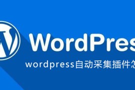 wordpress自动采集插件怎么用
