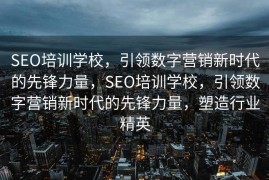 SEO培训学校，引领数字营销新时代的先锋力量，SEO培训学校，引领数字营销新时代的先锋力量，塑造行业精英