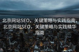 北京网站SEO，关键策略与实践指南，北京网站SEO，关键策略与实践精华指南