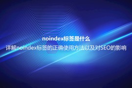 noindex标签是什么？详解noindex标签的正确使用方法以及对SEO的影响