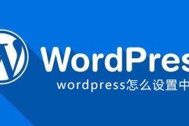 wordpress怎么设置中文