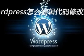 wordpress怎么编辑代码修改页面