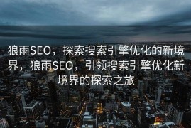 狼雨SEO，探索搜索引擎优化的新境界，狼雨SEO，引领搜索引擎优化新境界的探索之旅