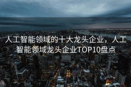 人工智能领域的十大龙头企业，人工智能领域龙头企业TOP10盘点