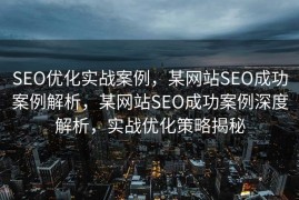 SEO优化实战案例，某网站SEO成功案例解析，某网站SEO成功案例深度解析，实战优化策略揭秘